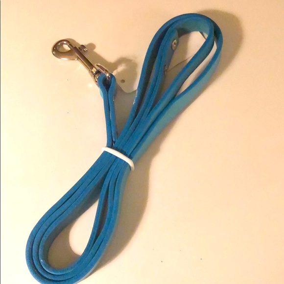 Turquoise leather dog leash 4”long silver accents - Picture 6 of 7